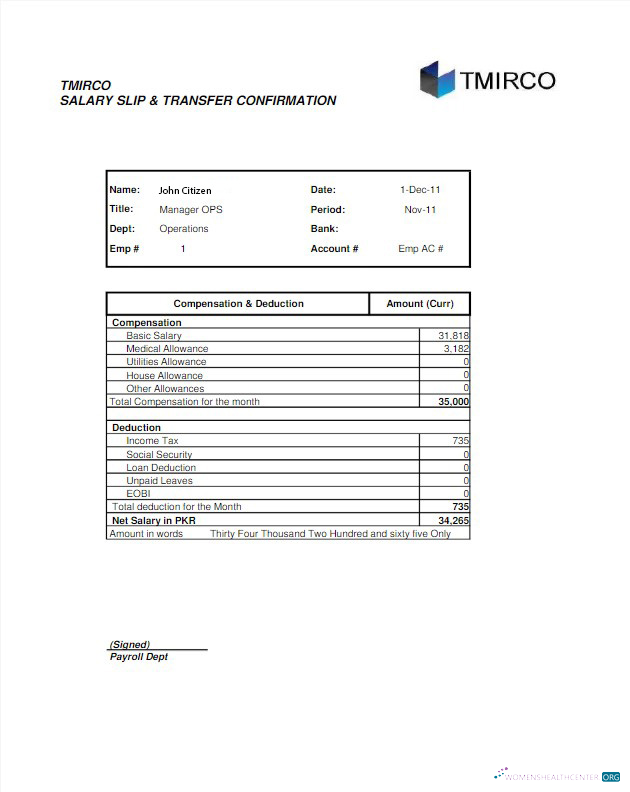 Download PAKISTAN TMIRCO company earning statemetn in Word and PDF formats Photoshop template